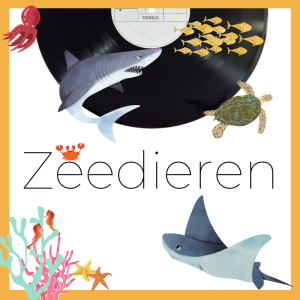 zeedieren-socials